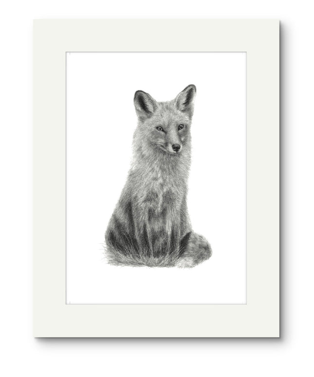 Pheobe Fox Mounted Print