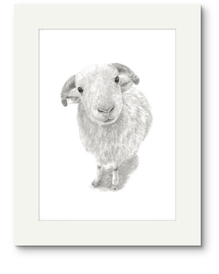 Larry Sheep Mounted Print