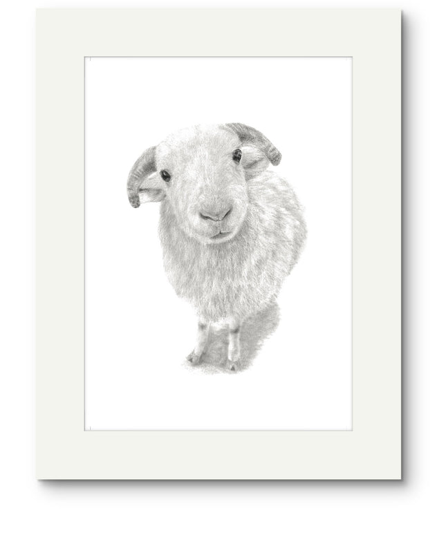Larry Sheep Mounted Print