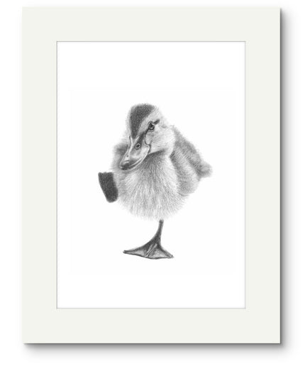 Dottie Duckling Mounted Print