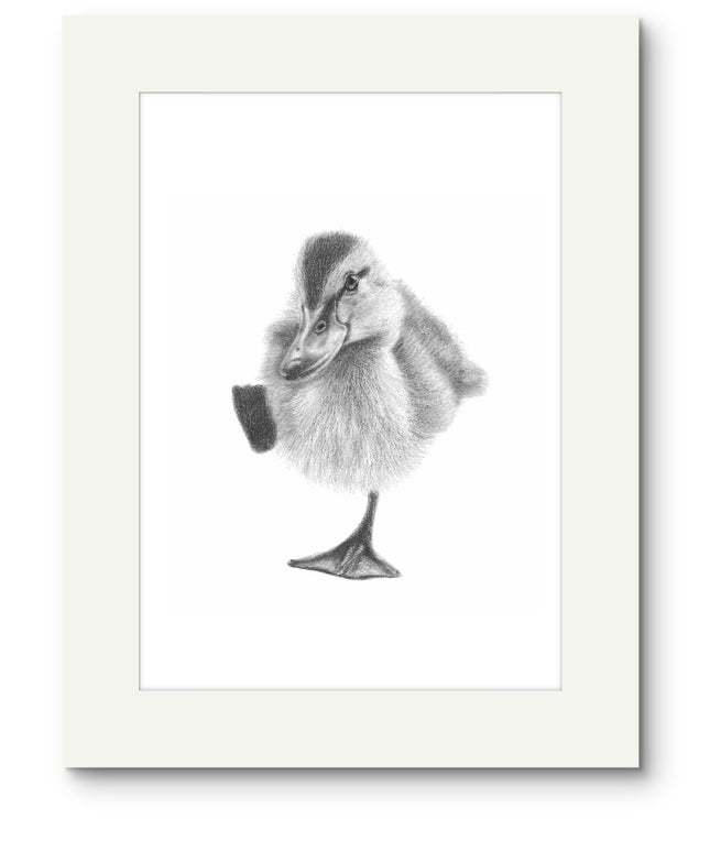Dottie Duckling Mounted Print
