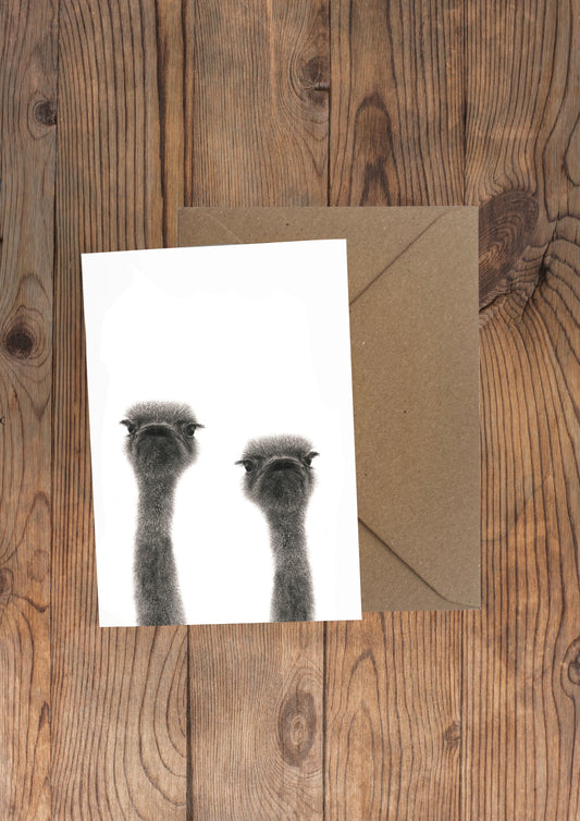 Ollie and Olive Ostrich Greeting Card