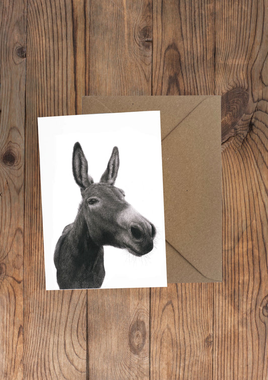 Dexter Donkey Greeting Card