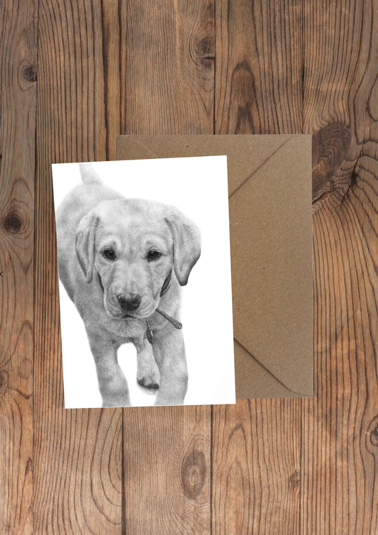 Margaux Labrador Puppy Greeting Card