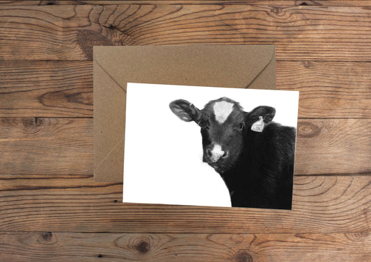 Cow Greeting Card