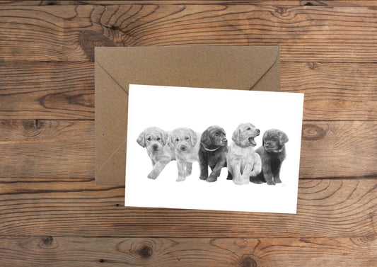 Puppies Greeting Card