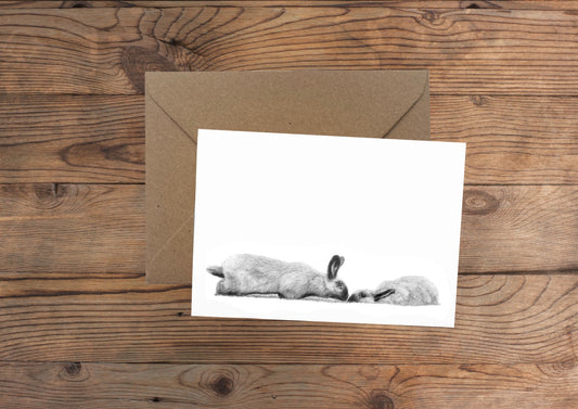 Bunnies Greeting Card