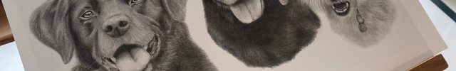 Canvas with a pencil drawing of three dogs on an easel by a window.