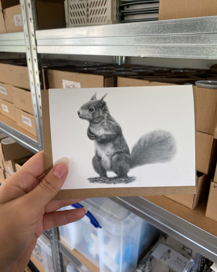 Orla Red Squirrel Card