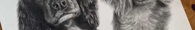 Two dog portraits on a piece of paper on a wooden surface with a window in the background.