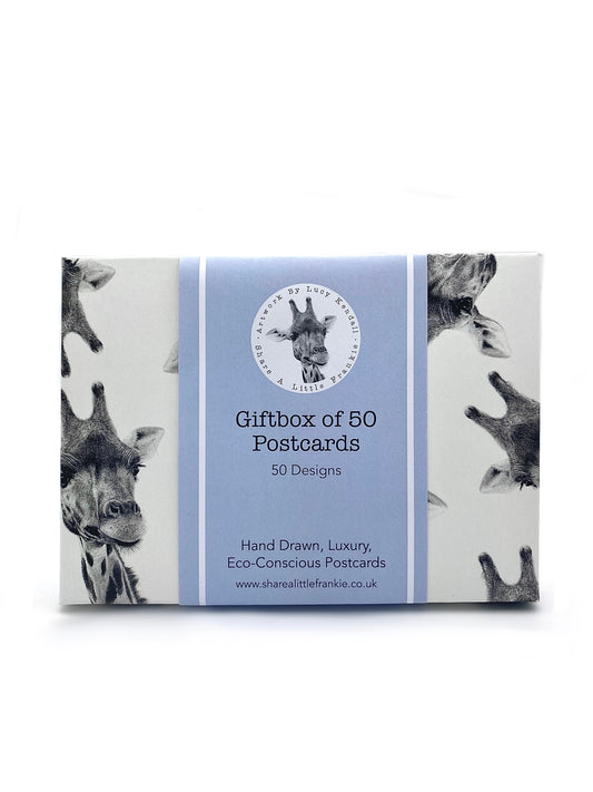 Box of high quality postcards featuring hand drawn wildlife designs