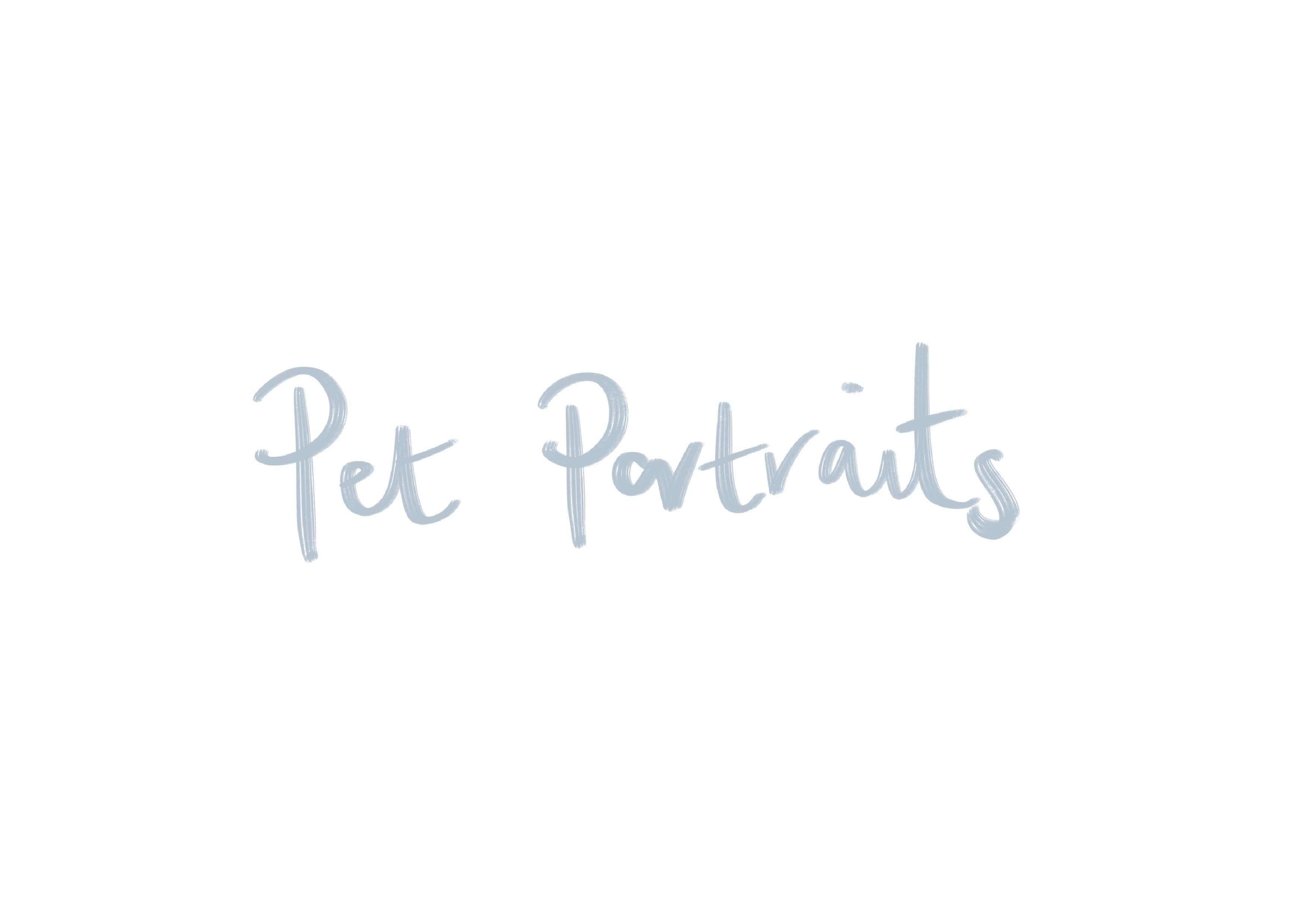 Pet portrait header 