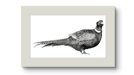 'Mr Pheasant' Limited Edition Prints /295