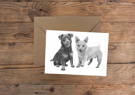 Terriers Greeting Card