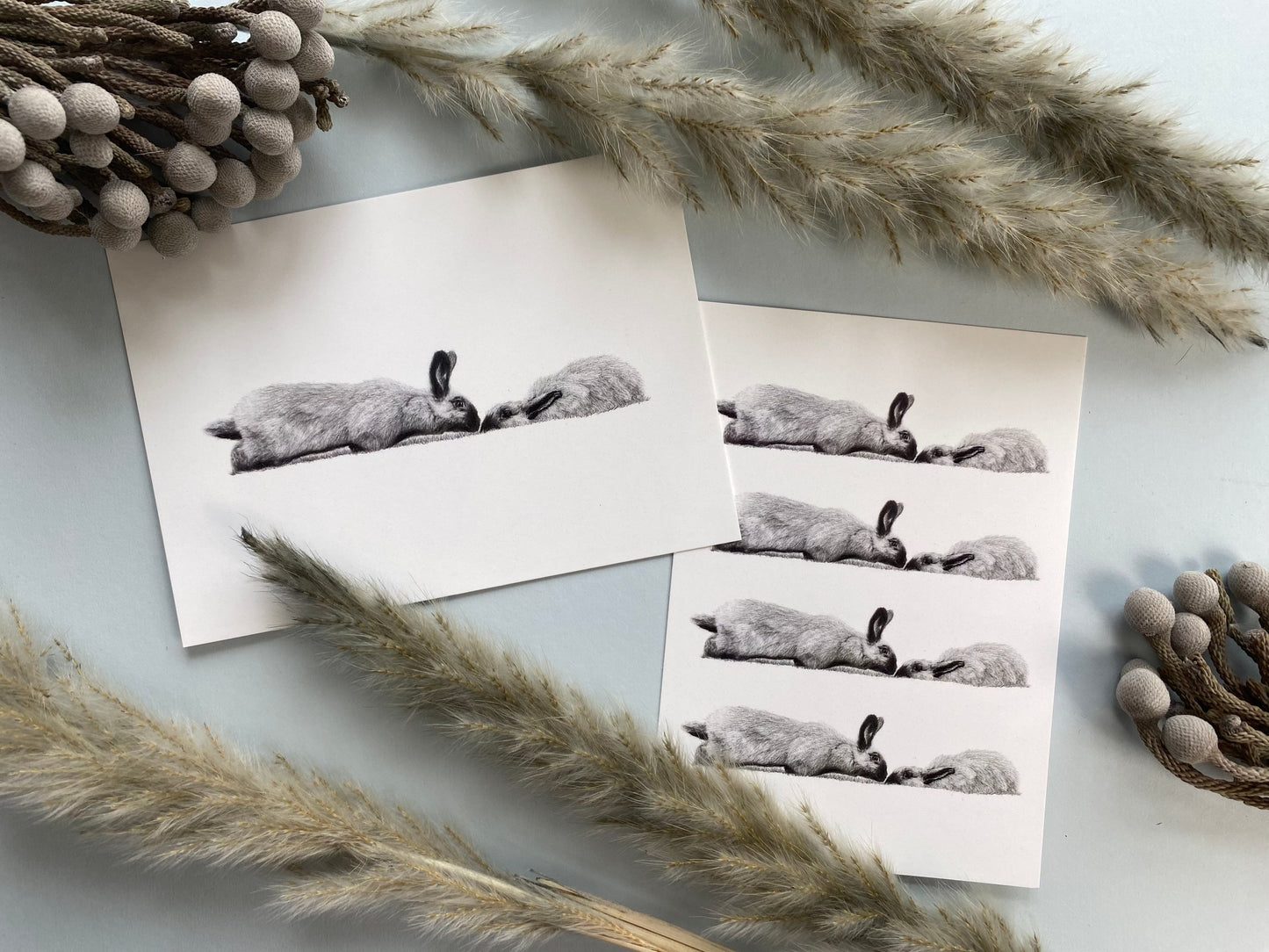 50 Hand Drawn Wildlife Inspired Postcards In Giftbox