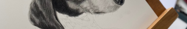 Pencil drawing of a dog's head on a piece of paper, placed on a wooden surface with a blurred background.