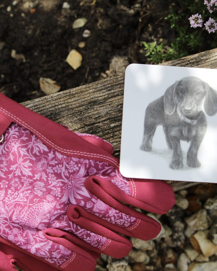 Iris Dachshund Coaster image 1
