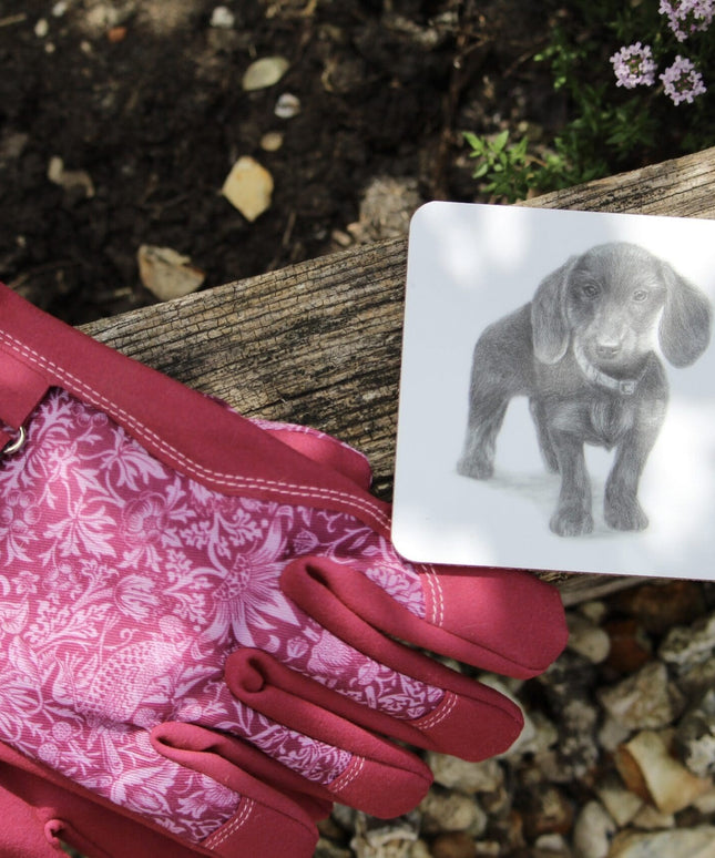 Iris Dachshund Coaster image 1