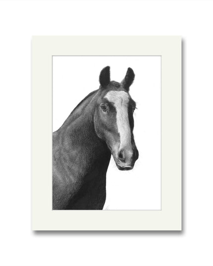 Dougal Horse Mounted Print