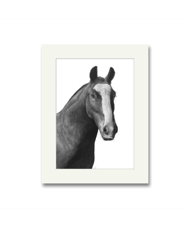 Dougal Horse Mounted Print