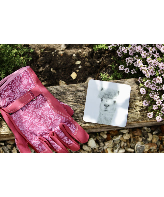 Nellie Alpaca Coaster image 0