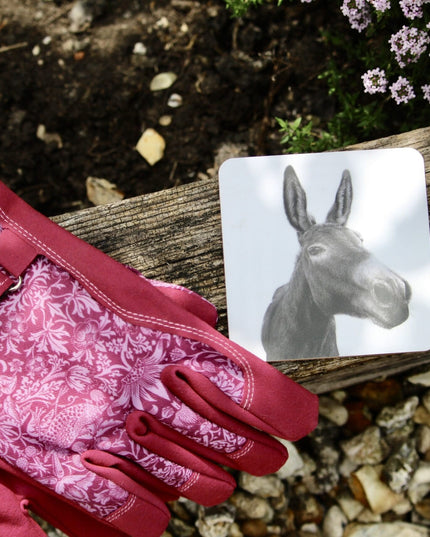 Dexter Donkey Coaster image 1