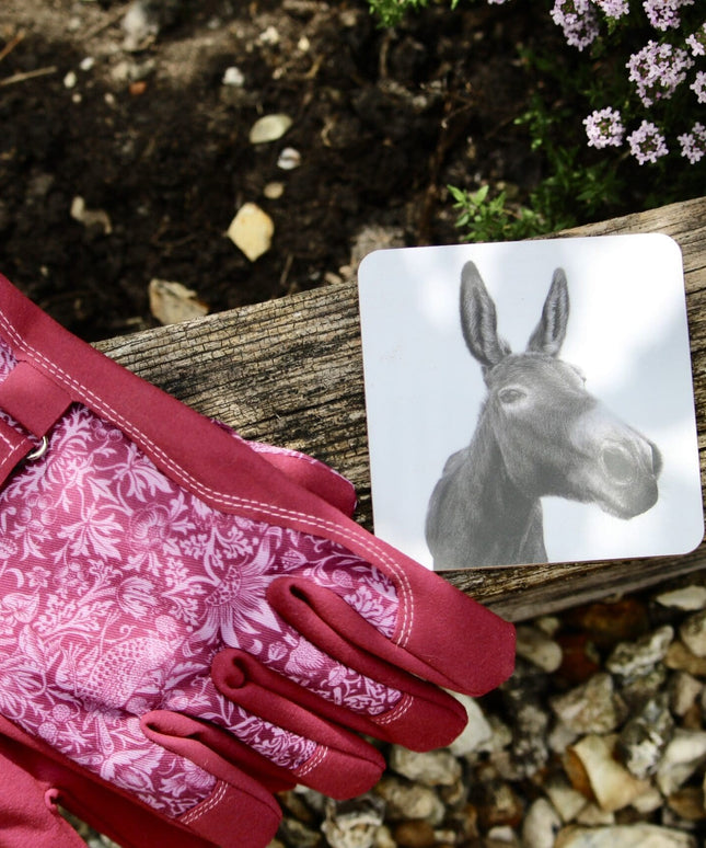 Dexter Donkey Coaster image 1