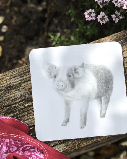 Patrick Pig Coaster image 2