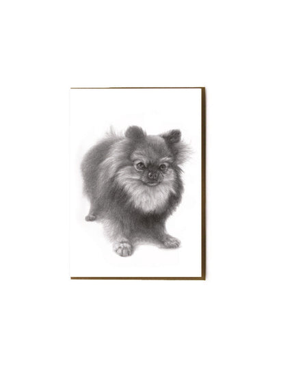 Pomeranian Greeting Card image 0