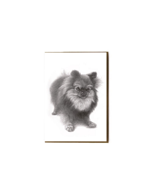 Pomeranian Greeting Card image 0