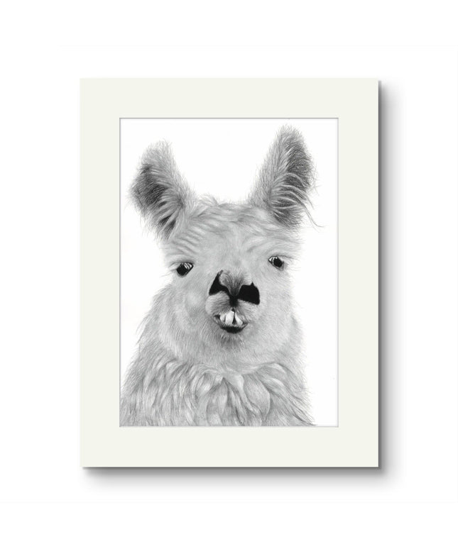 Llama Mounted Print image 0