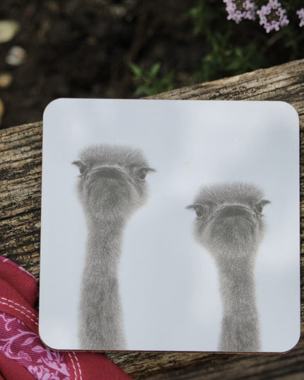 Ollie and Olive Ostrich Coaster image 1