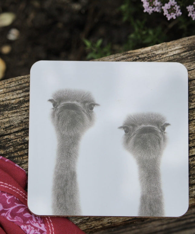 Ollie and Olive Ostrich Coaster image 1