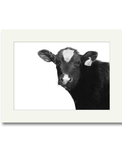 Rawston Calf Mounted Print image 0
