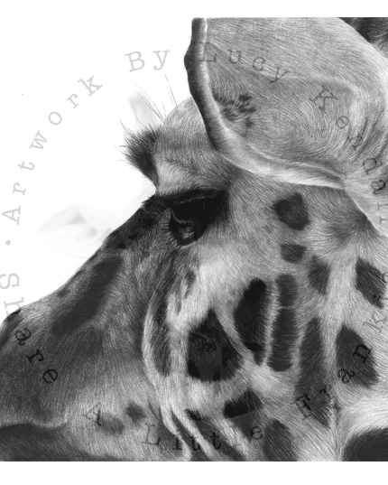 'Surveying The Savannah' Dorset Art Prize 2021 image 1