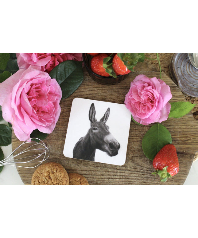 Dexter Donkey Coaster image 0