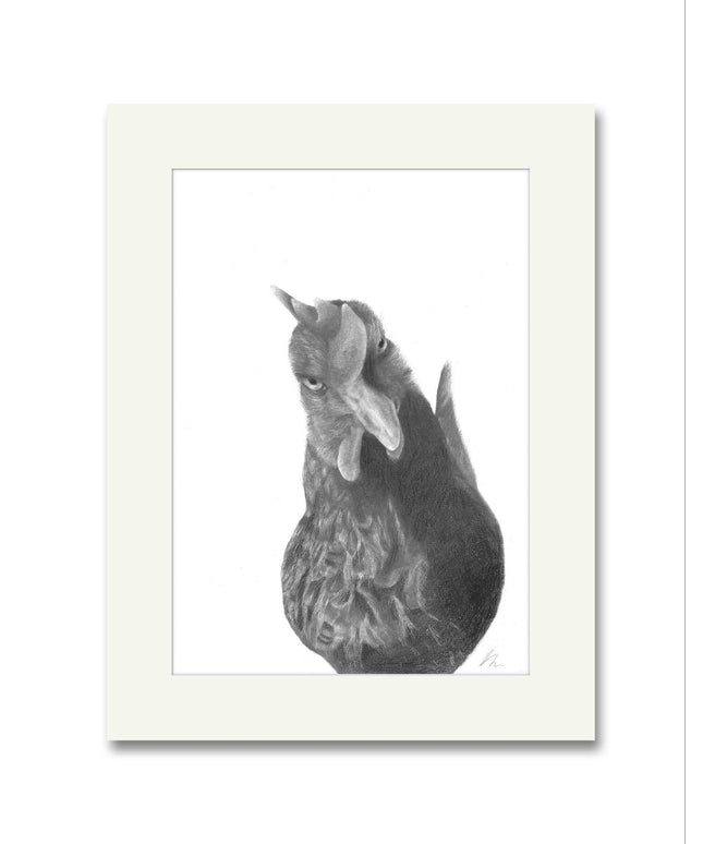 Agnes Chicken Mounted Print image 0