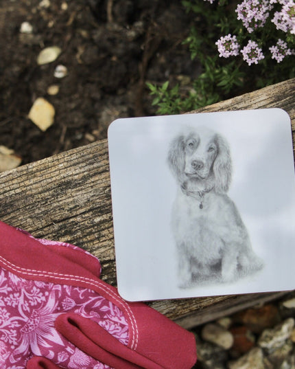 Rue Spaniel Coaster image 0