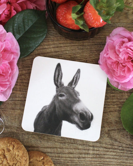 Dexter Donkey Coaster image 2
