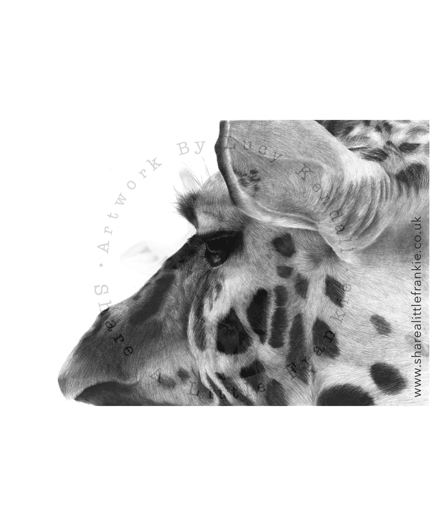 'Surveying The Savannah' Dorset Art Prize 2021 image 0