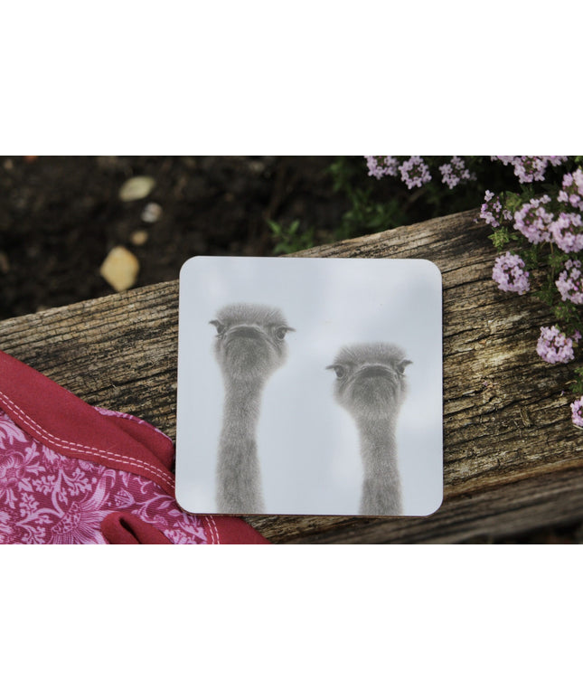 Ollie and Olive Ostrich Coaster image 0