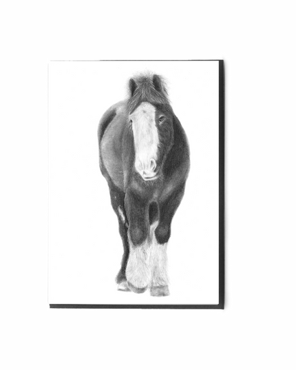 Herbie Horse Card
