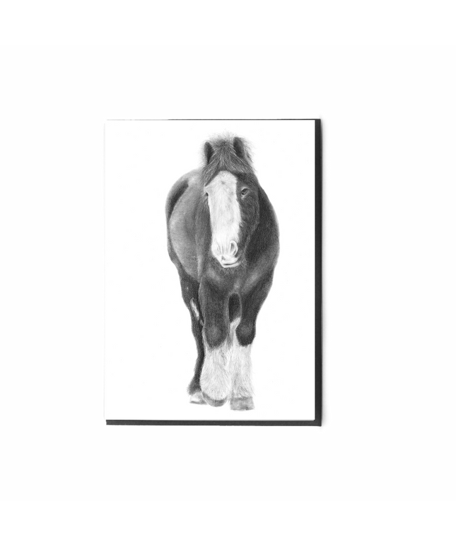 Herbie Horse Card