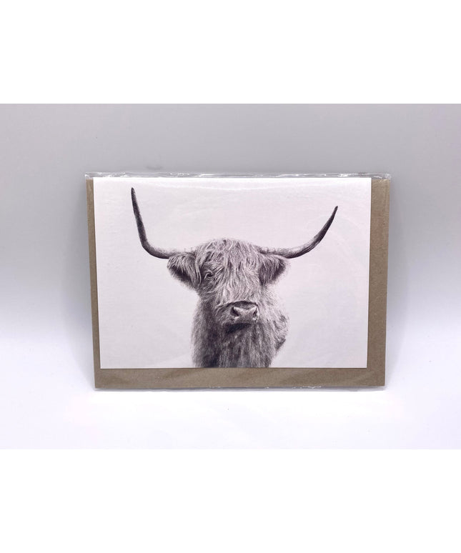 Highland Cow Greeting Card